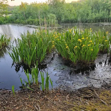 Apartman Apartament 108 Kołobrzeg